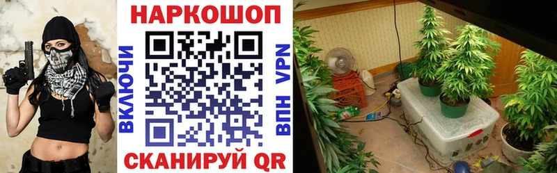 Какие есть наркотики Мышкин Alpha PVP  Галлюциногенные грибы  Канабис  МЕФ 