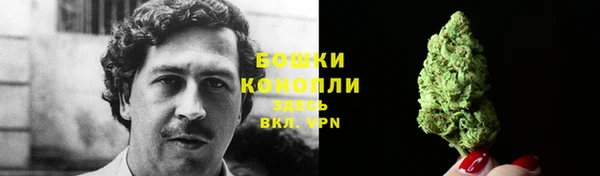ГАЛЛЮЦИНОГЕННЫЕ ГРИБЫ Алексин