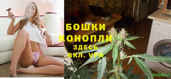 СК Покачи